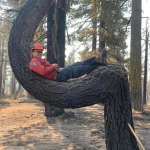 Meet your Posher, Steven